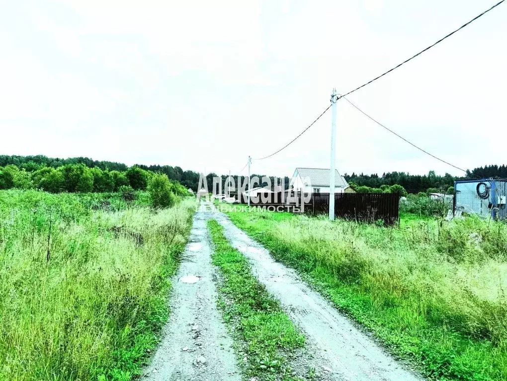 Участок в Ленинградская область, Тосненский район, Любанское городское ... - Фото 0