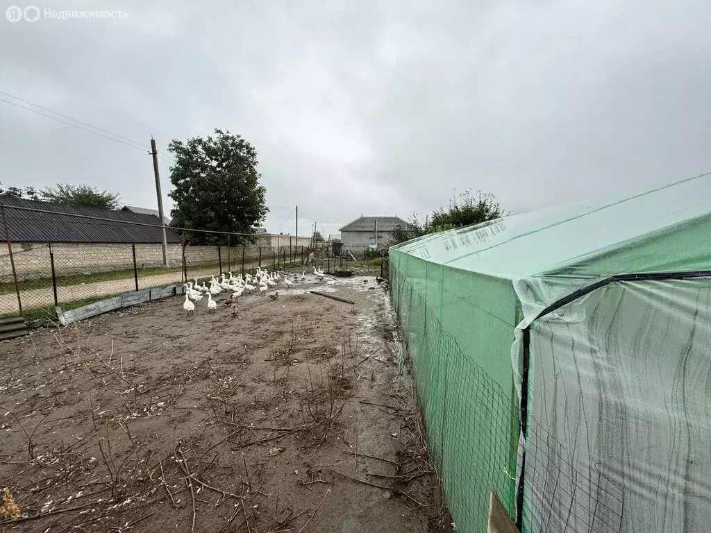 Участок в Нартан, улица Пачева, 165 (7 м) - Фото 2