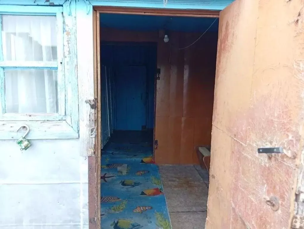 Дом в Амурская область, Серышевский муниципальный округ, с. Поляна ул. ... - Фото 2