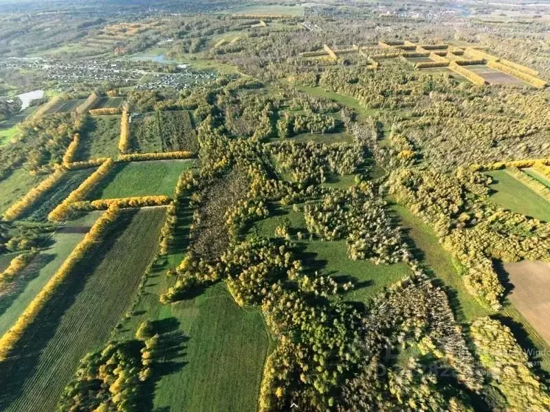 Участок в Новосибирская область, Новосибирский район, Станционный ... - Фото 0