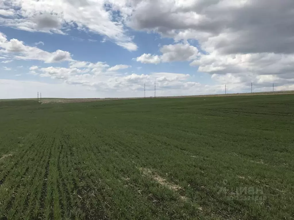 Участок в Иркутская область, Иркутский район, с. Хомутово  (10.0 сот.) - Фото 1