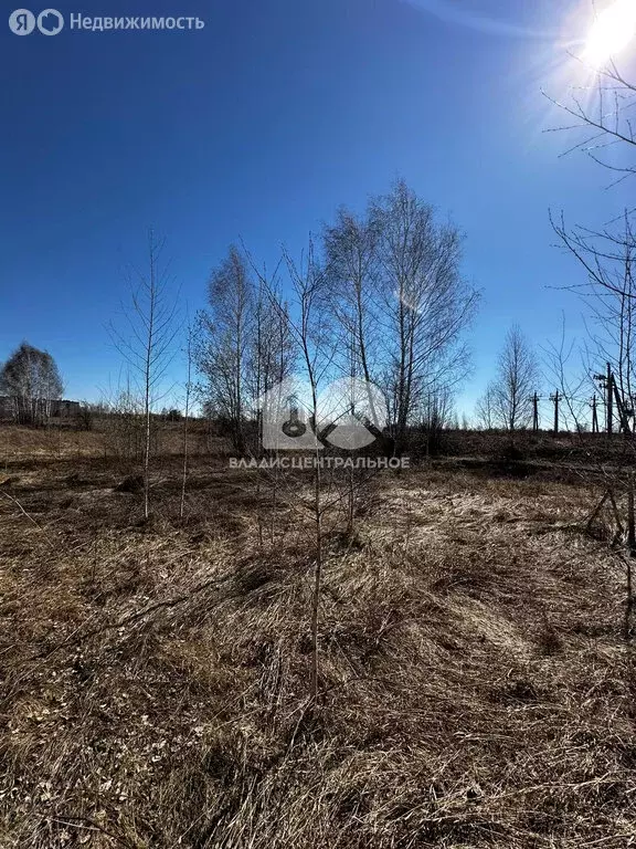 Участок в Новосибирск, территория садоводческого товарищества ... - Фото 0