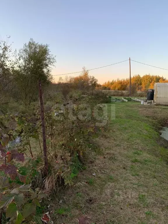 Участок в Еврейская автономная область, Смидовичский район, ... - Фото 2