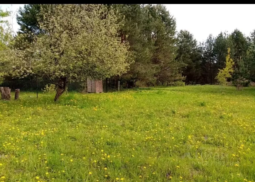 Дом в Калужская область, Дзержинский район, Кондрово городское ... - Фото 0