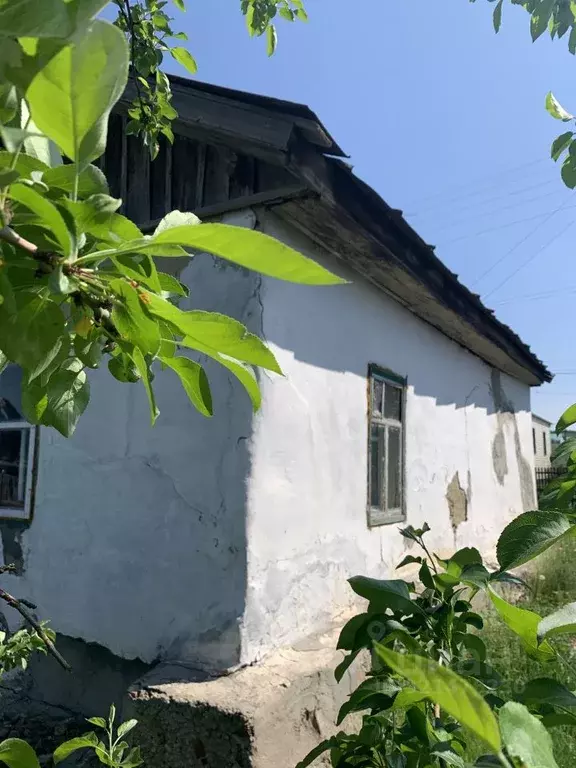 Дом в Курганская область, Курган Глинки мкр, ул. Новая (42 м) - Фото 1