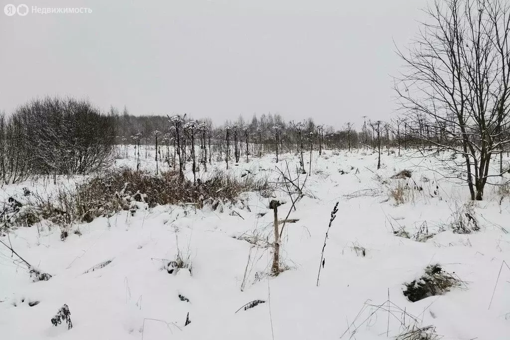 Участок в село Грибское, Луговая улица (15 м) - Фото 1