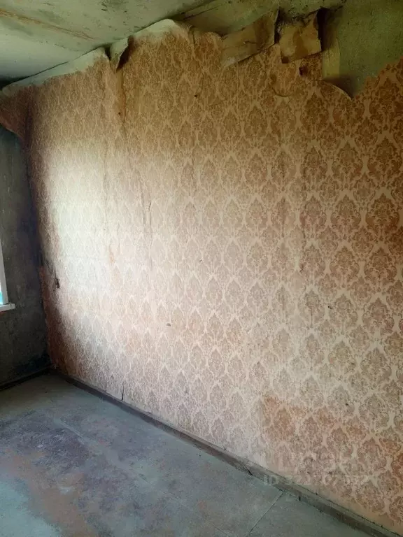 1-к кв. Ульяновская область, Майнский район, Тагайское с/пос, с. ... - Фото 2