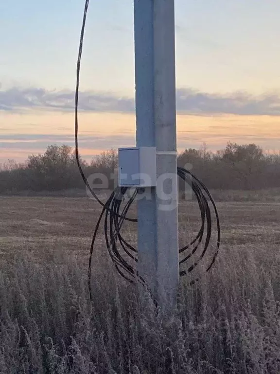 Участок в Амурская область, Зея  (10000.0 сот.) - Фото 1