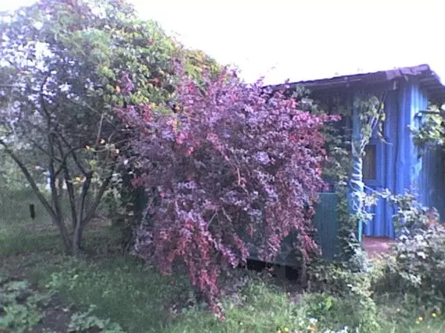 Дом в Московская область, Серпухов городской округ, Приокские Зори СНТ ... - Фото 0