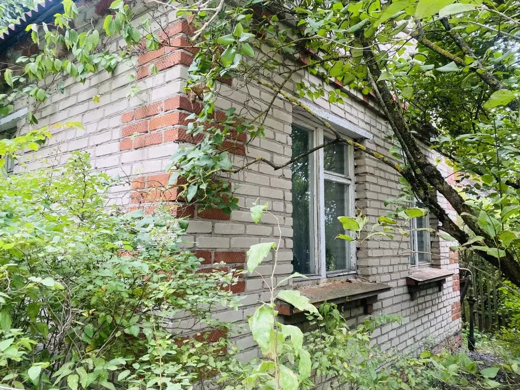 Дом в Московская область, Богородский городской округ, д. Молзино ул. ... - Фото 1