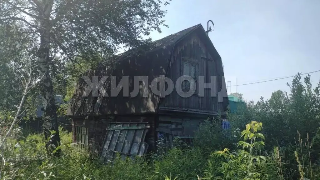 Дом в Новосибирская область, Новосибирский район, Каменский сельсовет, ... - Фото 2