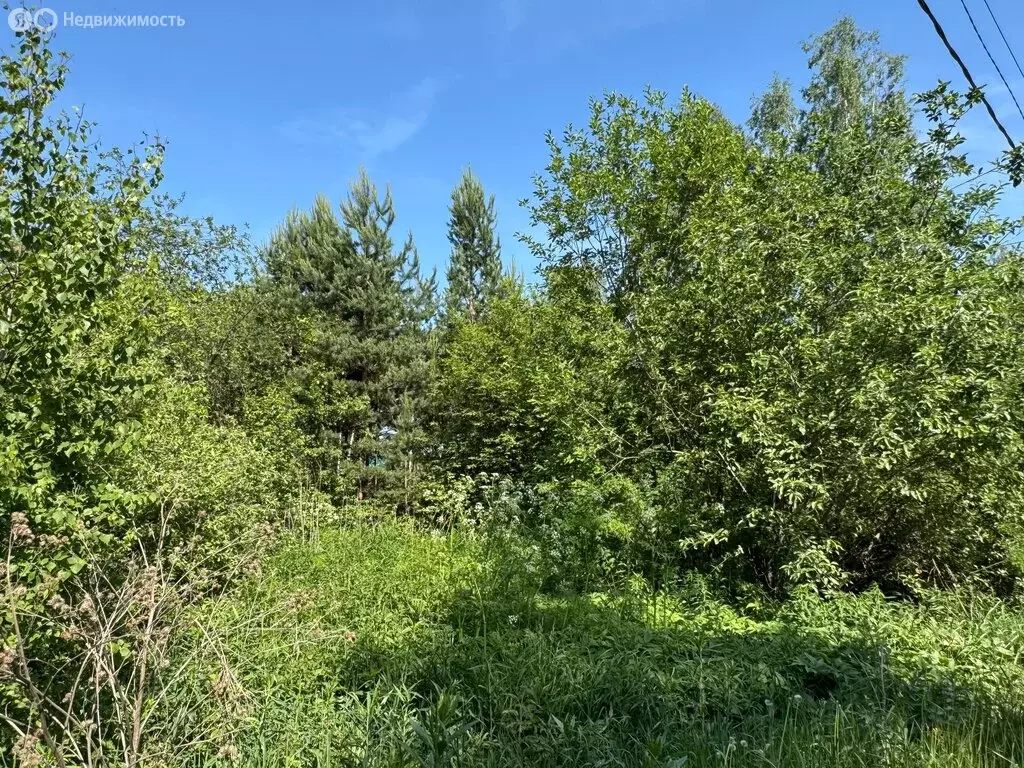 Участок в Заречный, Ключевая улица, 2 (20 м) - Фото 1