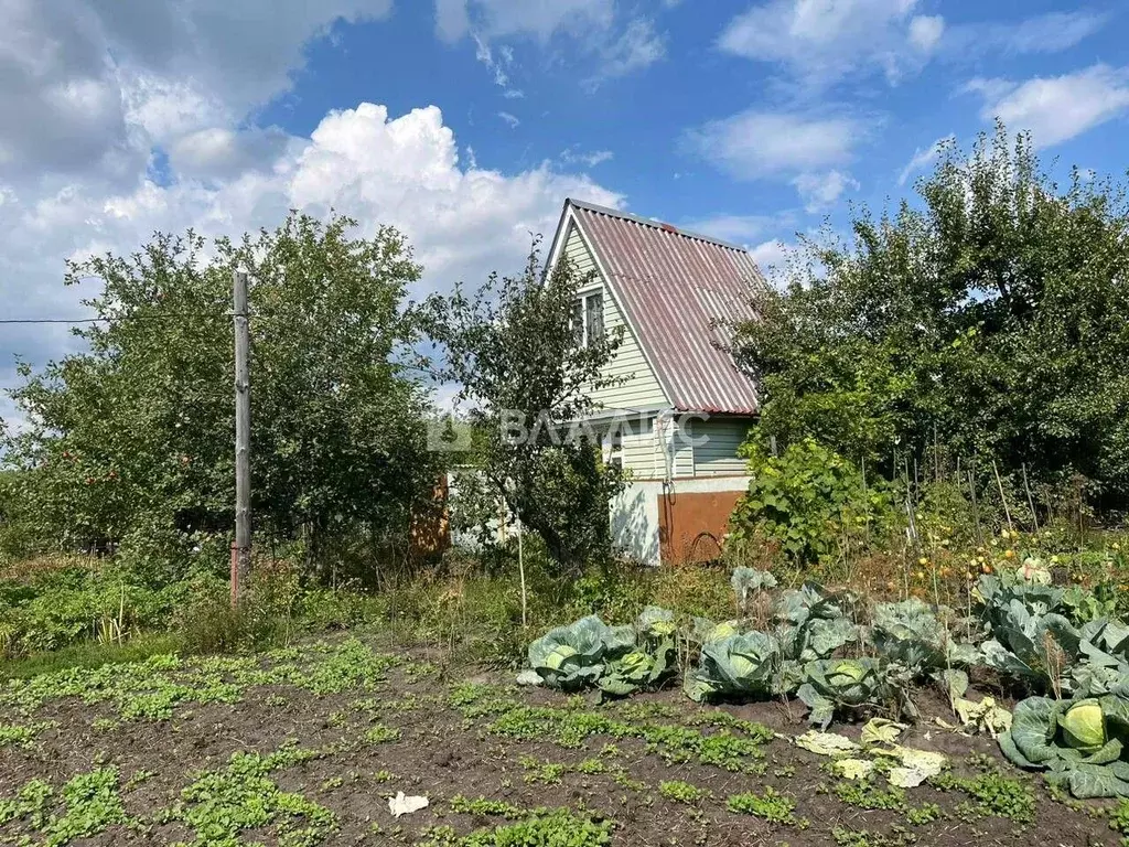 Участок в Пензенская область, Пензенский район, Воскресеновский ... - Фото 2