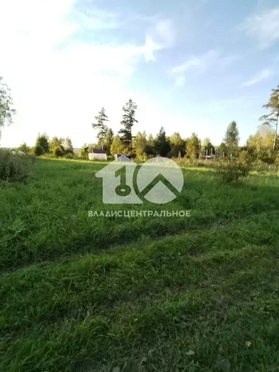 Участок в Барышевский сельсовет, садовое товарищество Ключи-4 (8.3 м) - Фото 1
