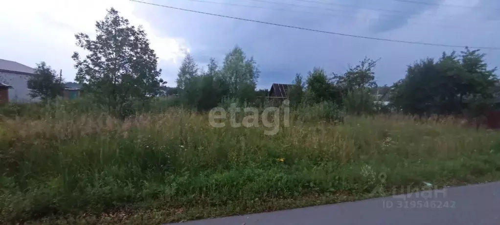 Участок в Владимирская область, Селивановский муниципальный округ, с. ... - Фото 0