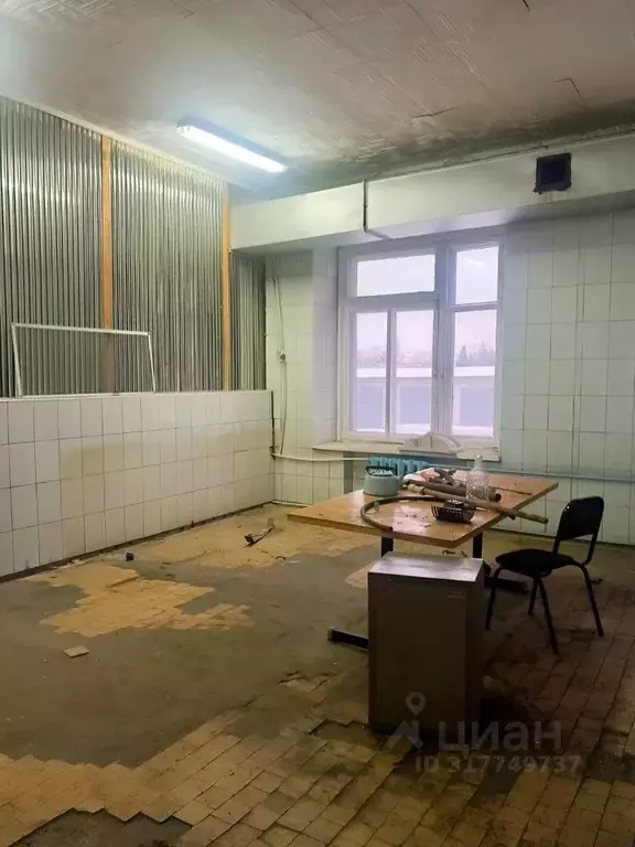 Помещение свободного назначения в Омская область, Омск ул. 20 лет ... - Фото 1