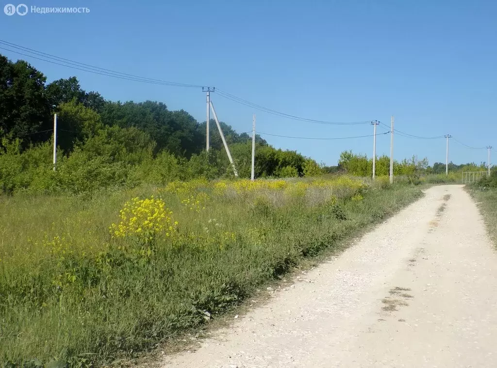 Участок в Московская область, городской округ Ступино, село ... - Фото 1