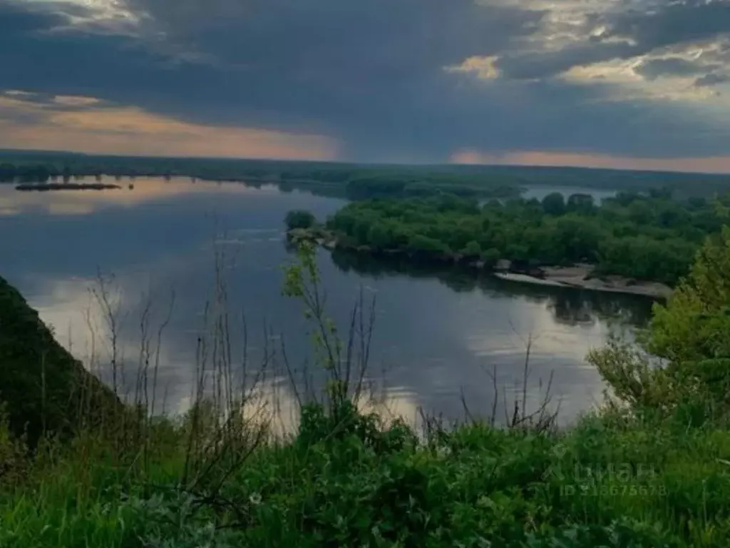 Участок в Тульская область, Ясногорский район, Иваньковское с/пос, д. ... - Фото 1