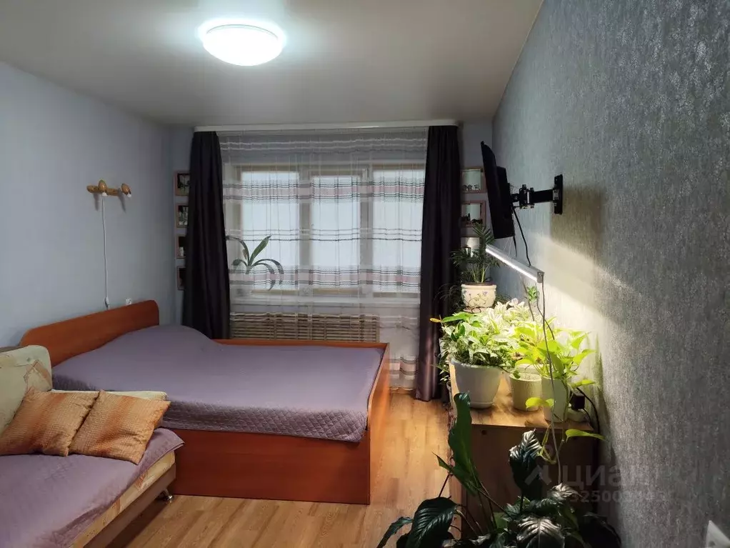 1-к кв. Вологодская область, Вологда ул. Ветошкина, 103 (30.0 м) - Фото 1