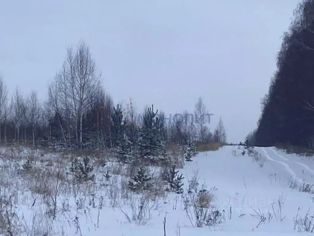 Участок в Нижегородская область, Сосновский муниципальный округ, д. ... - Фото 1