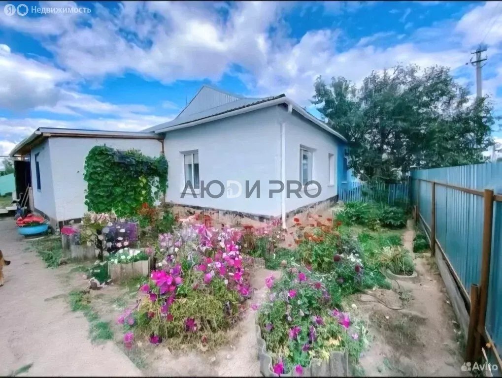 Дом в Зоркинское муниципальное образование, село Михайловка, Советская ... - Фото 2