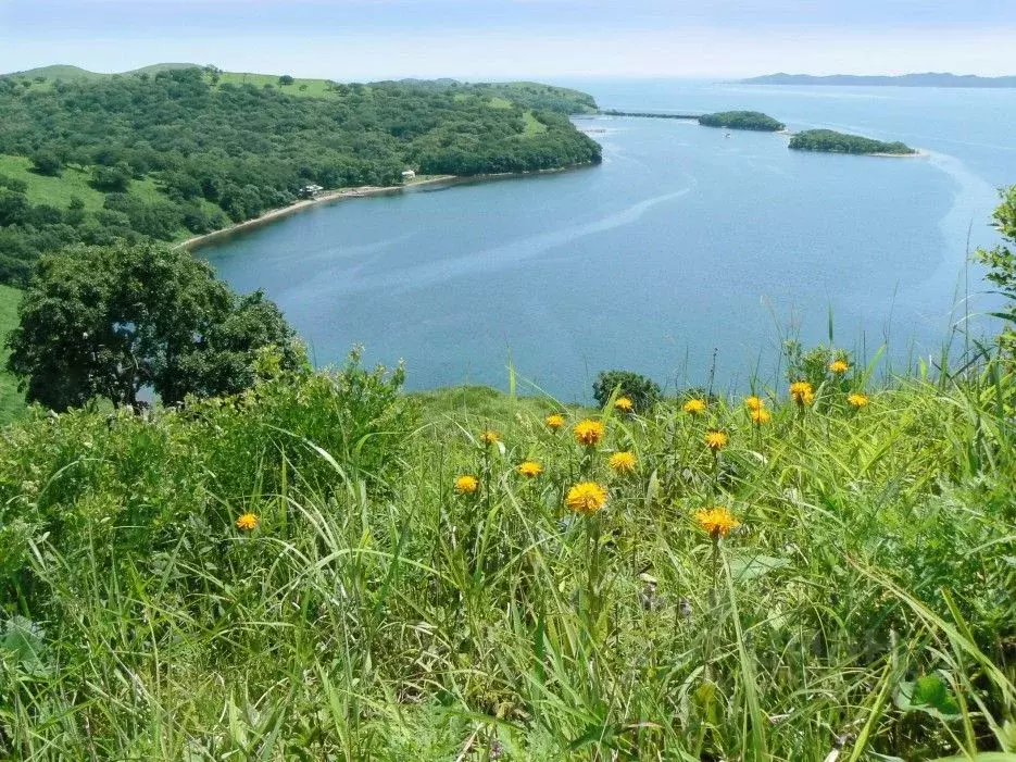 Участок в Приморский край, Хасанский муниципальный округ, с. ... - Фото 2
