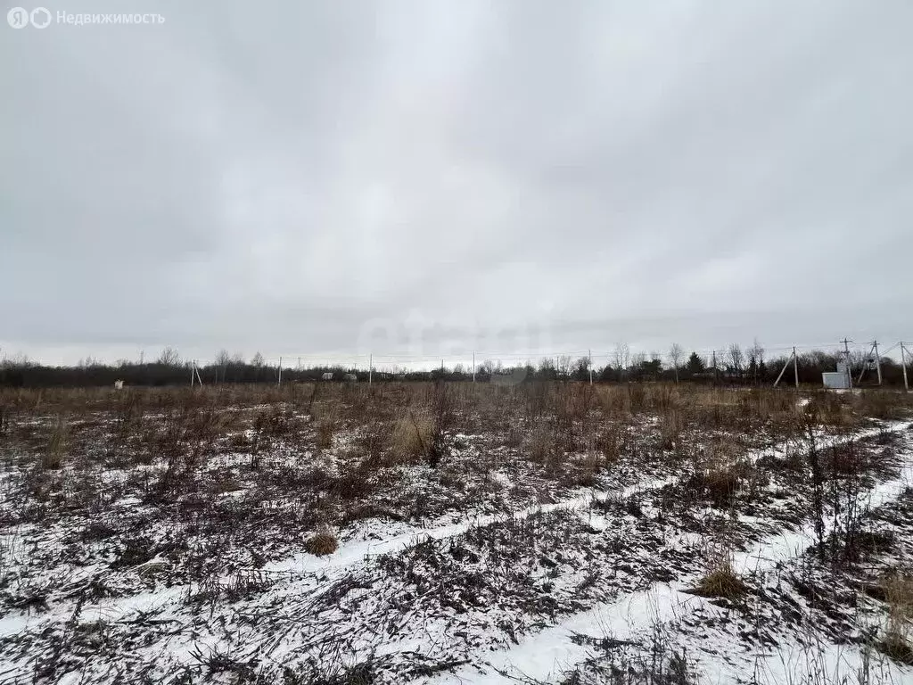 Участок в Вологда, деревня Баранково (8.8 м) - Фото 1