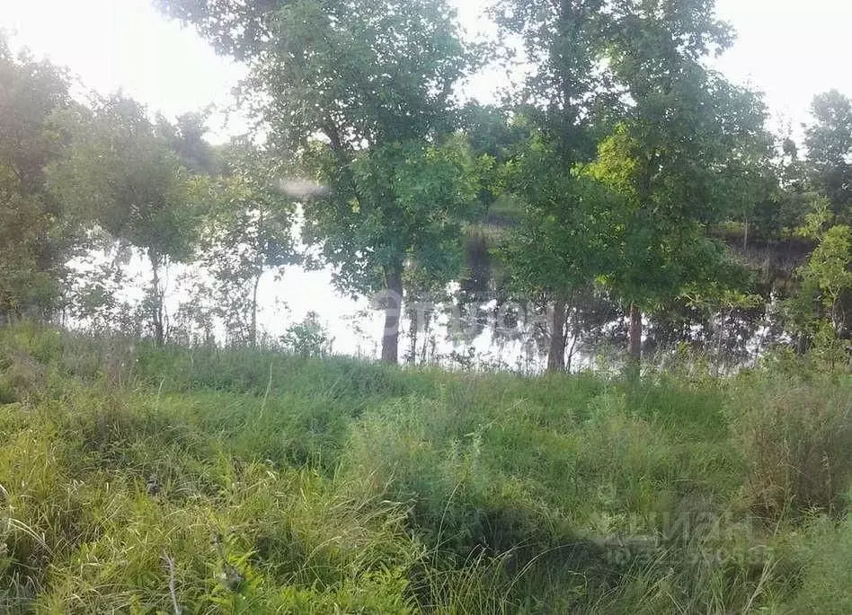 Участок в Волгоградская область, Ленинский район, Покровское с/пос, ... - Фото 2