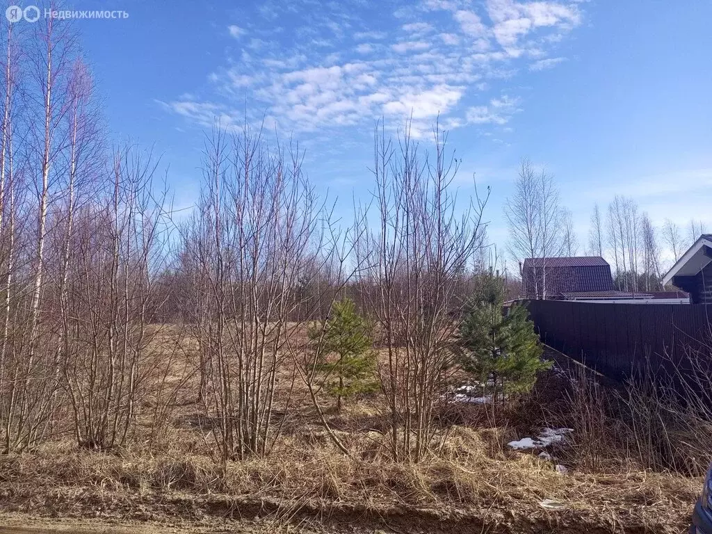 Участок в Рахьинское городское поселение, КП Гладкое-Рахья (313.1 м) - Фото 2