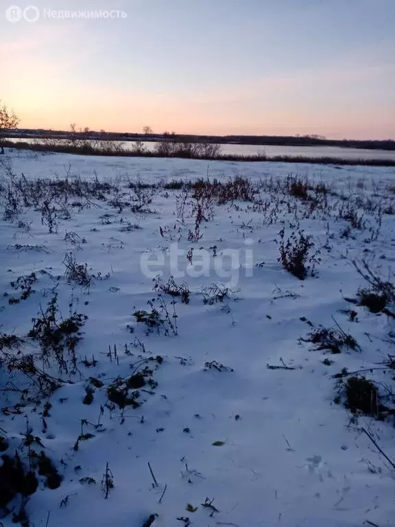 Участок в село Омутинское, Тюменская улица (900 м) - Фото 0