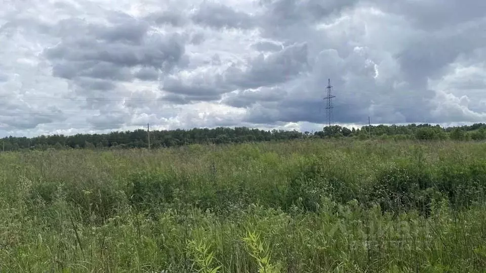 Участок в Московская область, Кашира городской округ, д. Колтово  ... - Фото 1