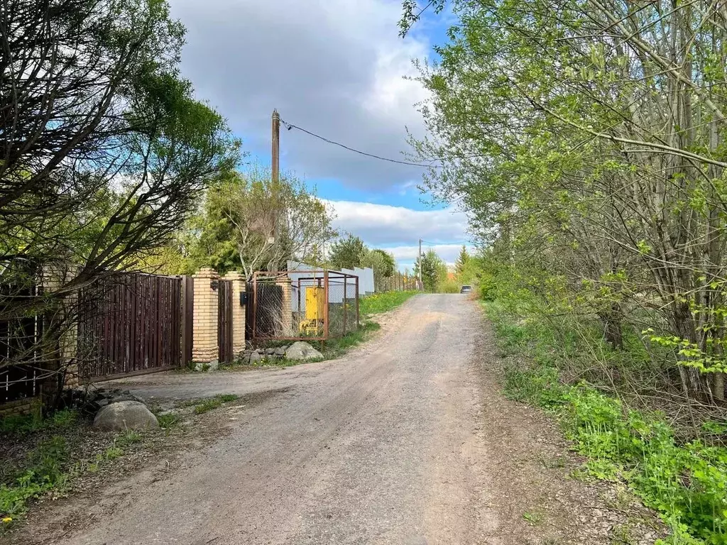 Участок в Ленинградская область, Приозерский район, Красноозерное ... - Фото 1