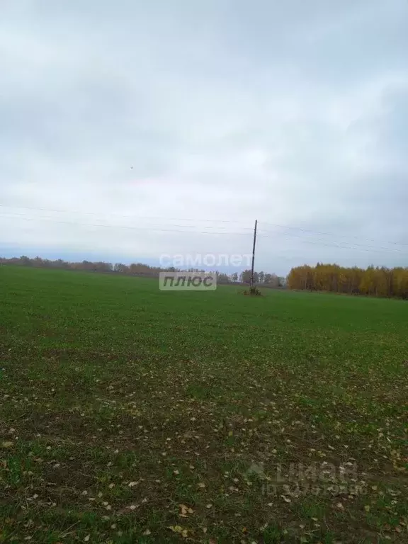 Участок в Нижегородская область, Чкаловск муниципальный округ, с. ... - Фото 1