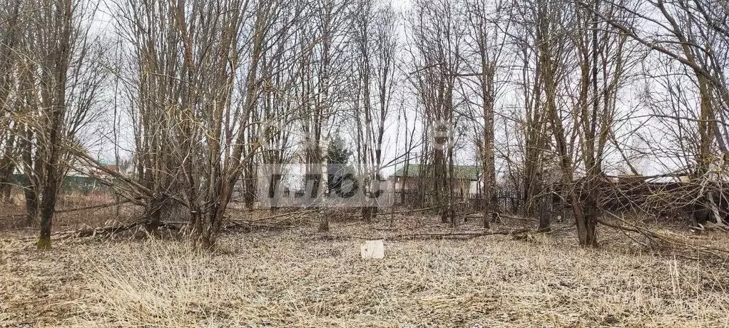 Участок в Московская область, Дмитровский муниципальный округ, ... - Фото 1