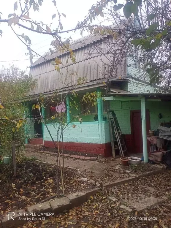 Дом в Белгородская область, Белгородский район, Беломестненское с/пос, ... - Фото 1