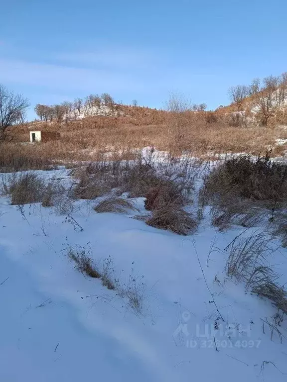 Участок в Амурская область, Благовещенск пос. Моховая Падь, ул. ... - Фото 1