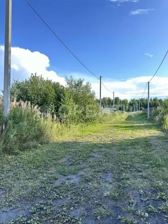 Участок в Тюменская область, Тюмень Зеленый Бор ДНТСН, ул. Морская ... - Фото 2