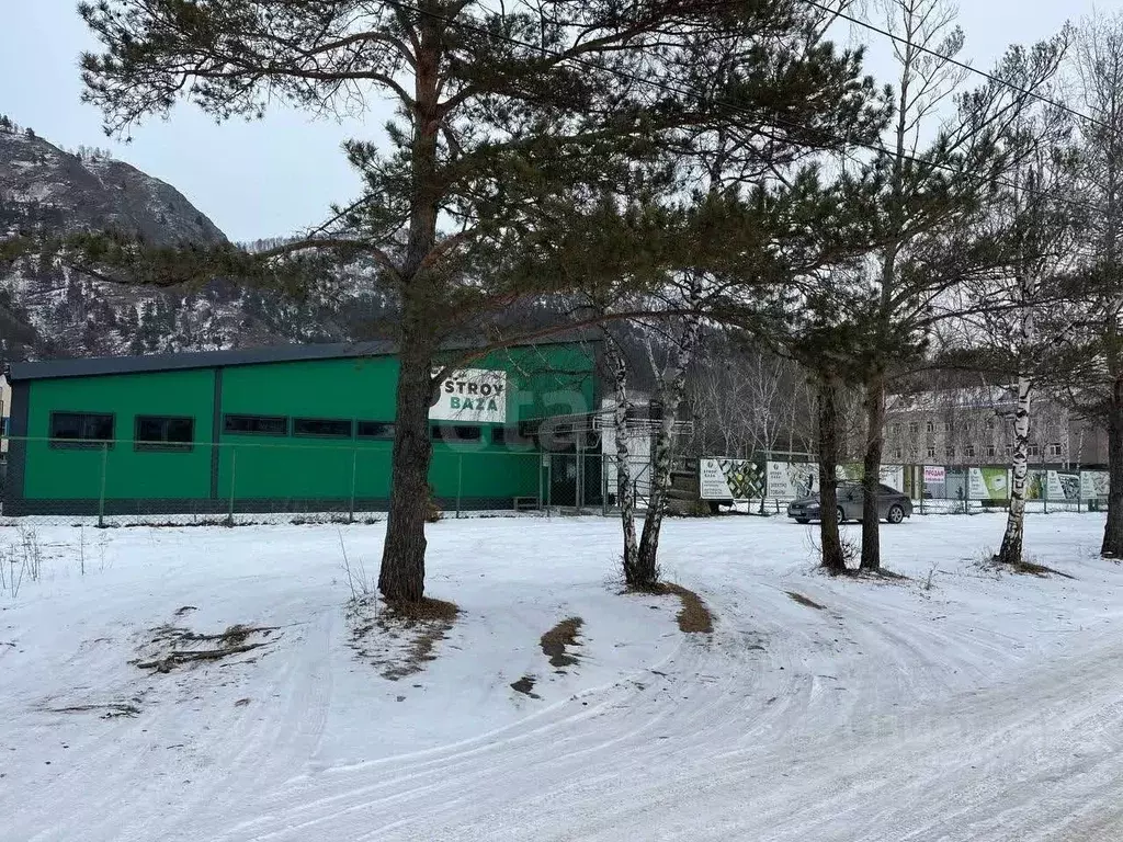 Торговая площадь в Алтай, Чемальский район, с. Чемал Чемальская ул. ... - Фото 2