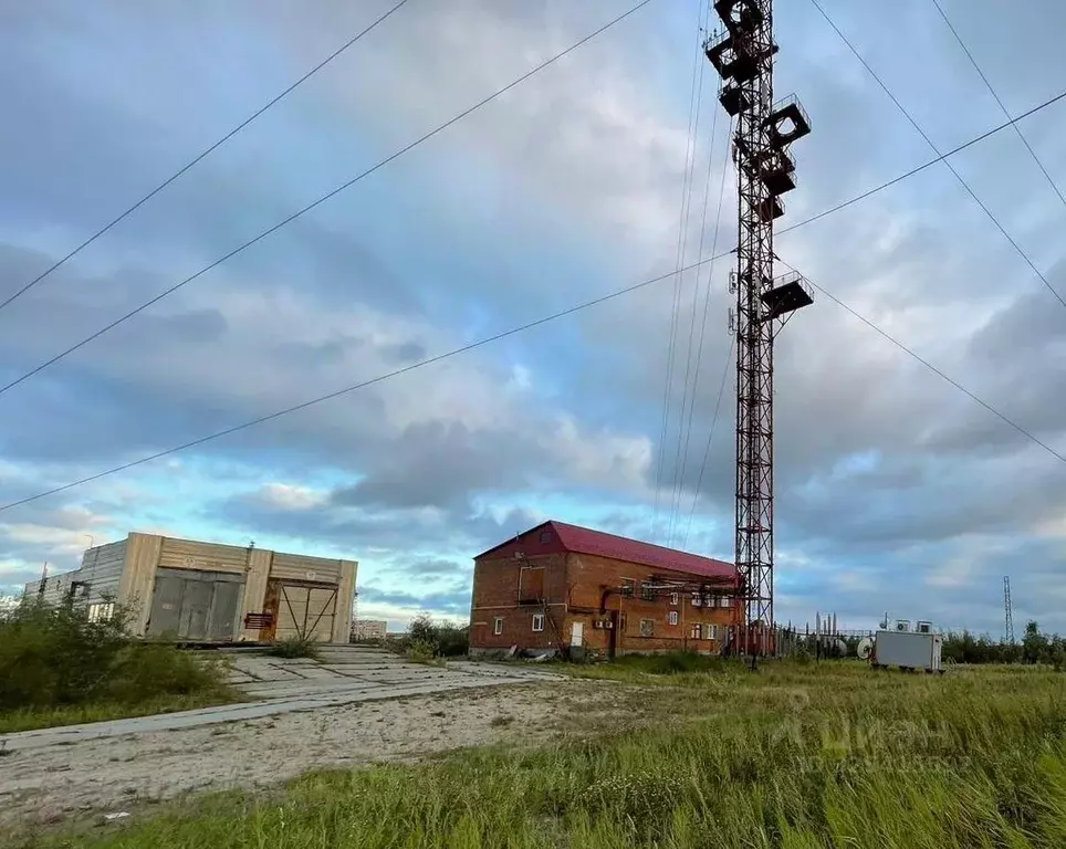 Помещение свободного назначения в Ямало-Ненецкий АО, Надым пос. ... - Фото 1