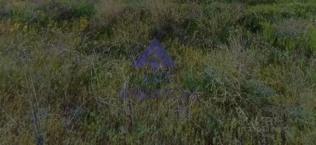 Участок в Ростовская область, пос. Зимовники пер. Игнатовский, 4 (7.2 ... - Фото 2