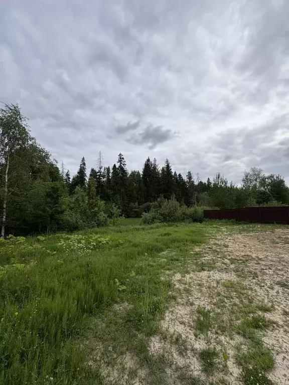 Участок в Московская область, Солнечногорск городской округ, д. ... - Фото 1