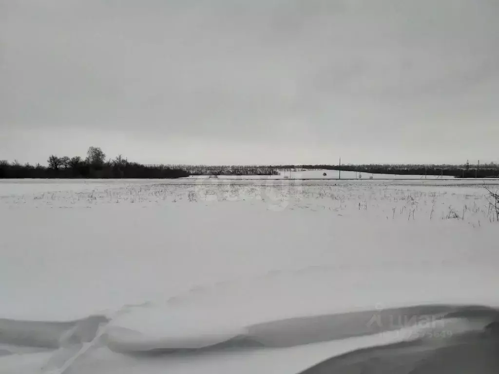 Участок в Белгородская область, Красногвардейский район, Утянское ... - Фото 2