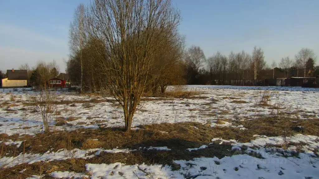 Участок в Московская область, Рузский муниципальный округ, д. Ватулино ... - Фото 1