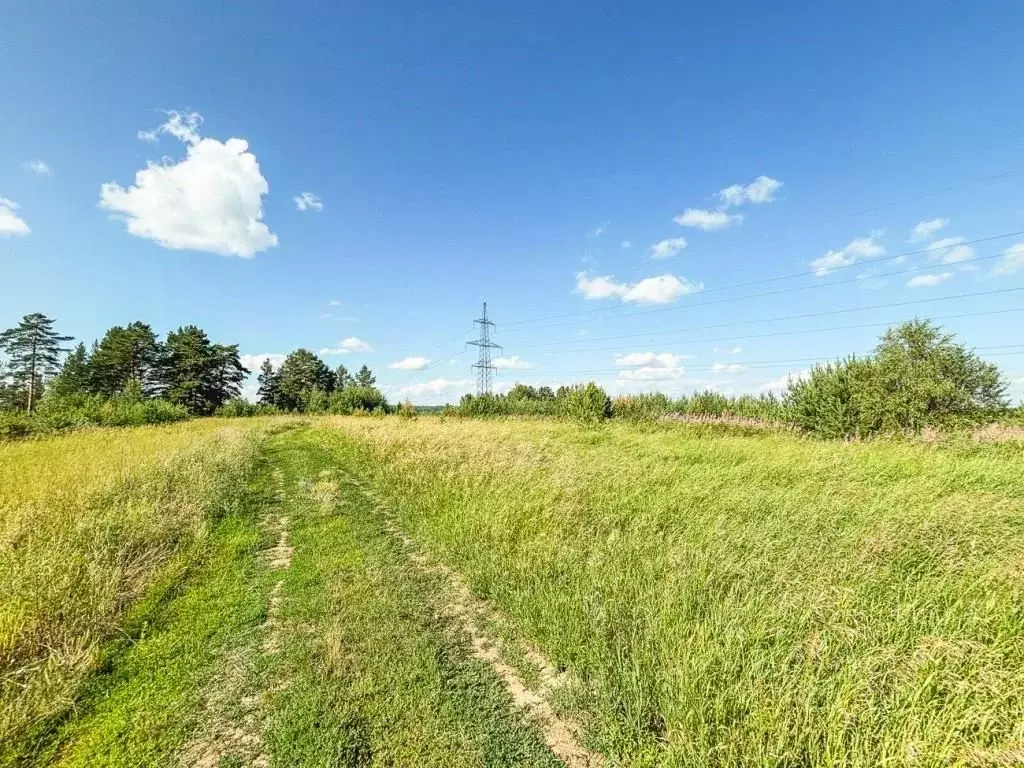 Участок в Иркутская область, Шелеховский район, Баклашинское ... - Фото 0