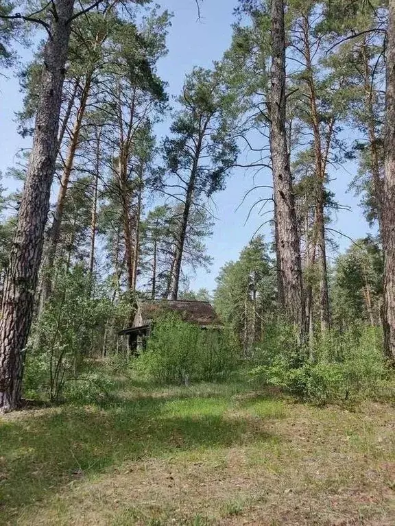 Участок в Самарская область, Тольятти Лесопарковое ш. (20.67 сот.) - Фото 2