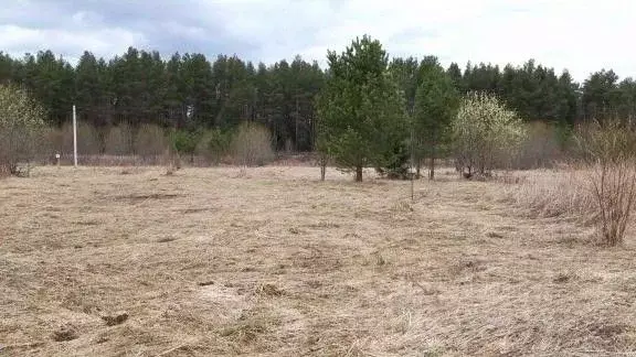 Участок в Вологодская область, Бабушкинский муниципальный округ, д. ... - Фото 1