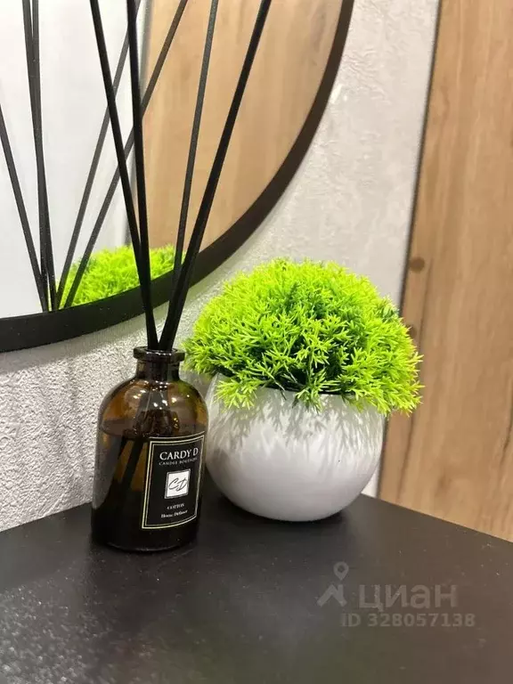 Студия Краснодарский край, Сочи ул. Искры, 88к6 (24.5 м) - Фото 2