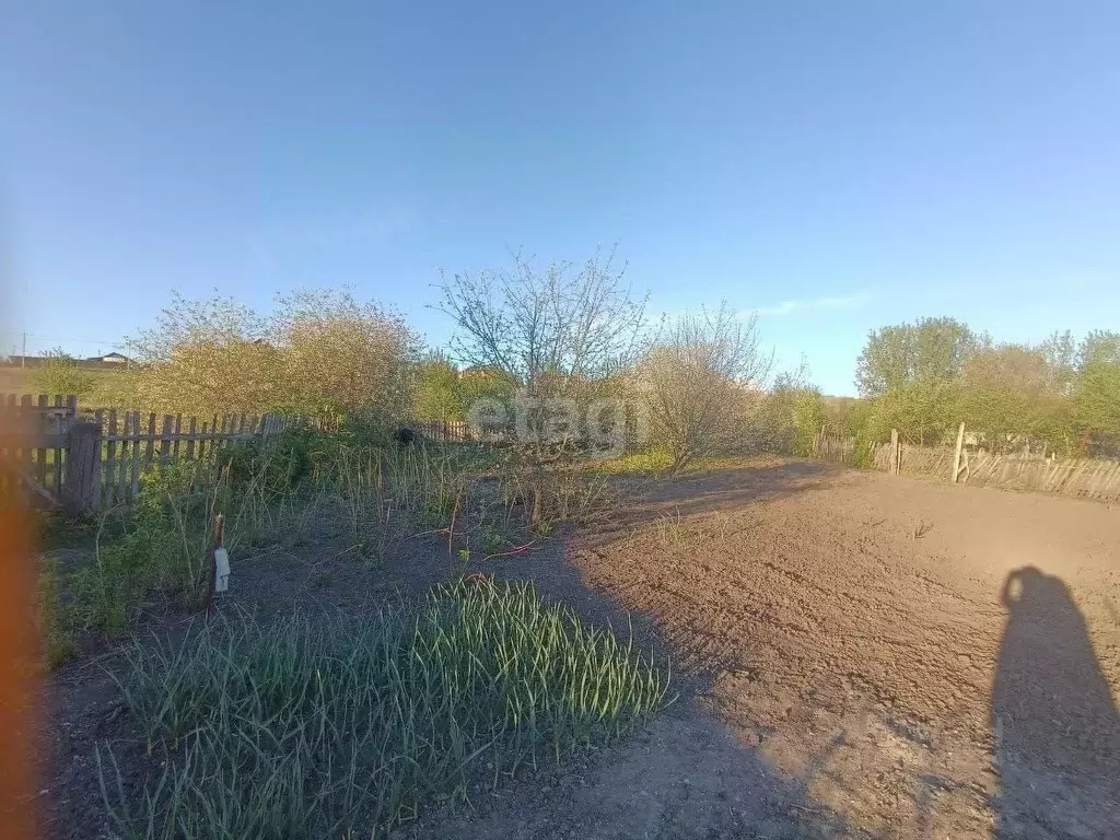 Участок в Белгородская область, Алексеевский муниципальный округ, с. ... - Фото 2