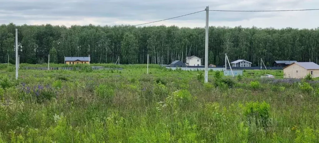 Участок в Московская область, Ступино городской округ, д. Ламоново, ... - Фото 1