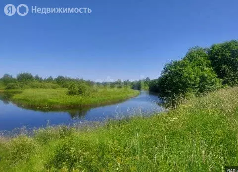 Участок в Пермский край, Осинский муниципальный округ, село Устиново ... - Фото 0